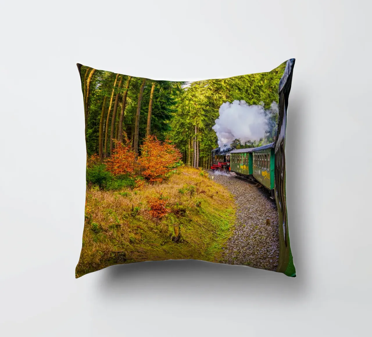 The Fichtelberg railway runs through the Ore Mountains decorative cushion by Marcus Beckert | Fotografie