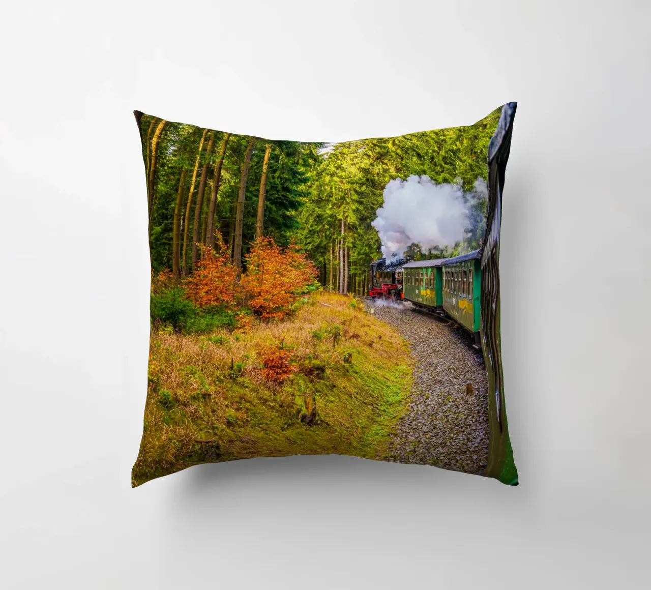 The Fichtelberg railway runs through the Ore Mountains decorative cushion by Marcus Beckert | Fotografie