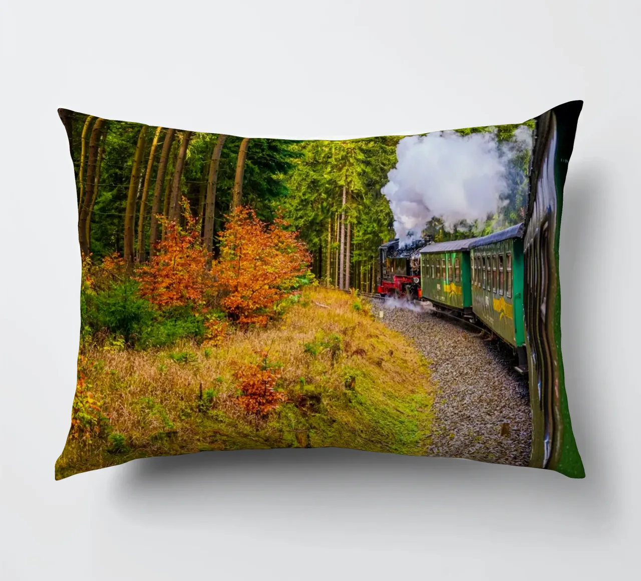 The Fichtelberg railway runs through the Ore Mountains decorative cushion by Marcus Beckert | Fotografie