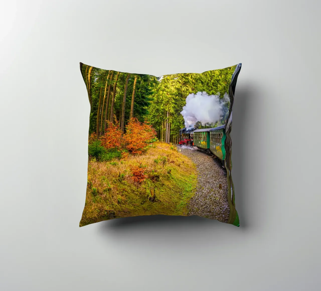 The Fichtelberg railway runs through the Ore Mountains decorative cushion by Marcus Beckert | Fotografie