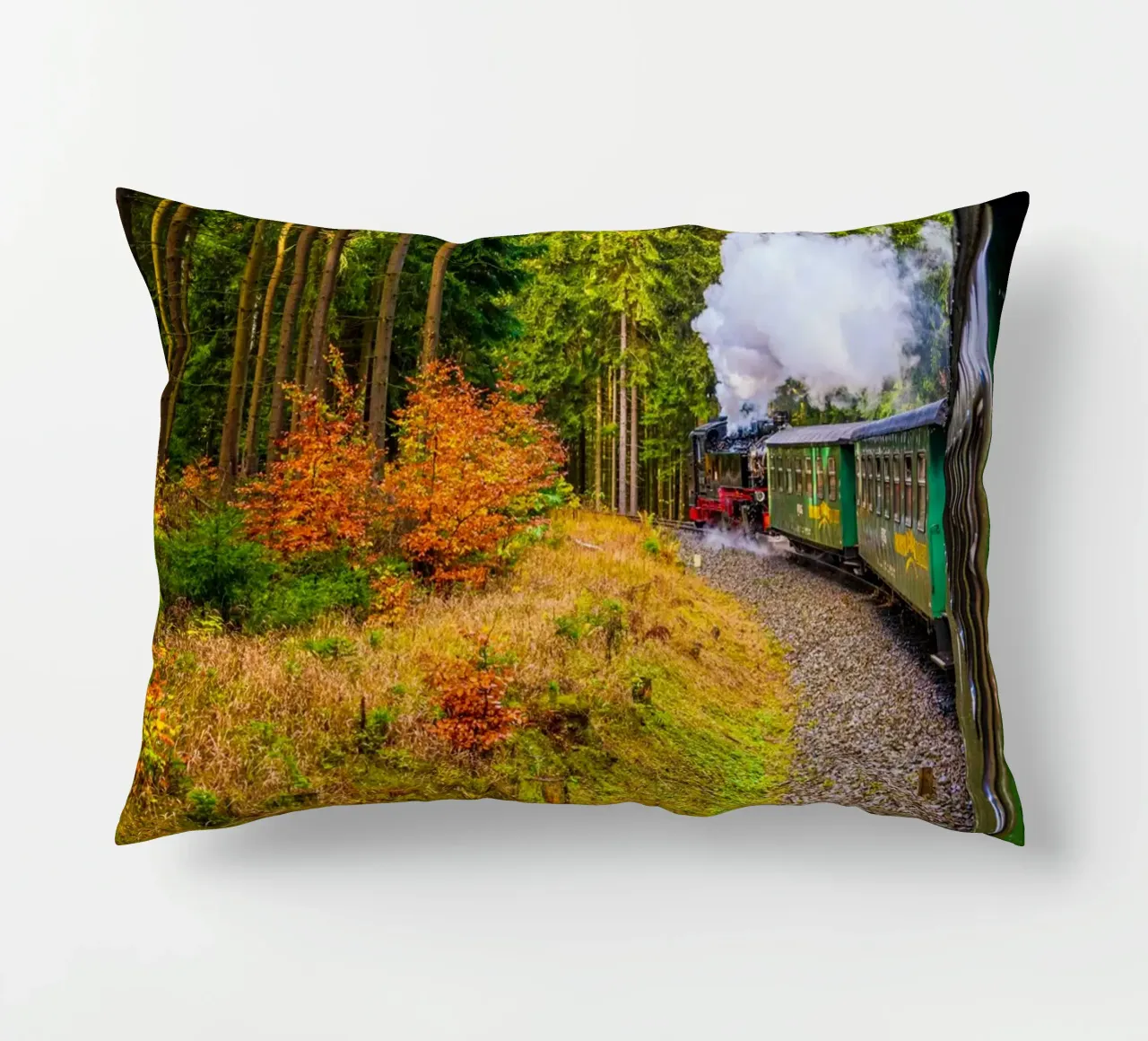 The Fichtelberg railway runs through the Ore Mountains decorative cushion by Marcus Beckert | Fotografie