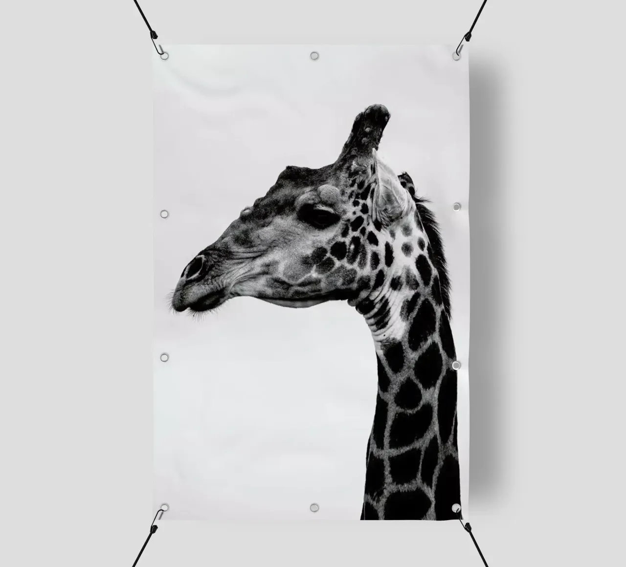 Giraph telo in pvc da Shot By Clint