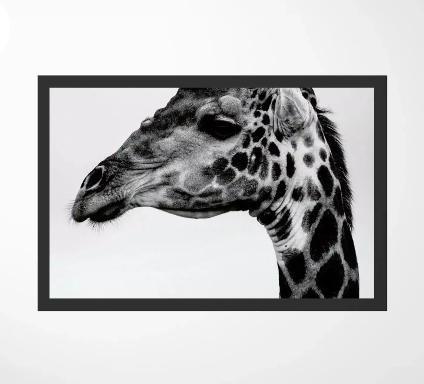 Giraph doormat by Shot By Clint