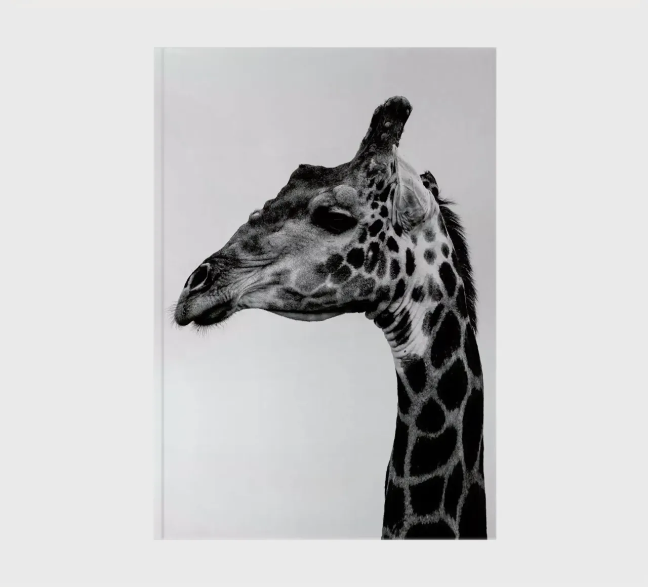 Giraph notebook by Shot By Clint
