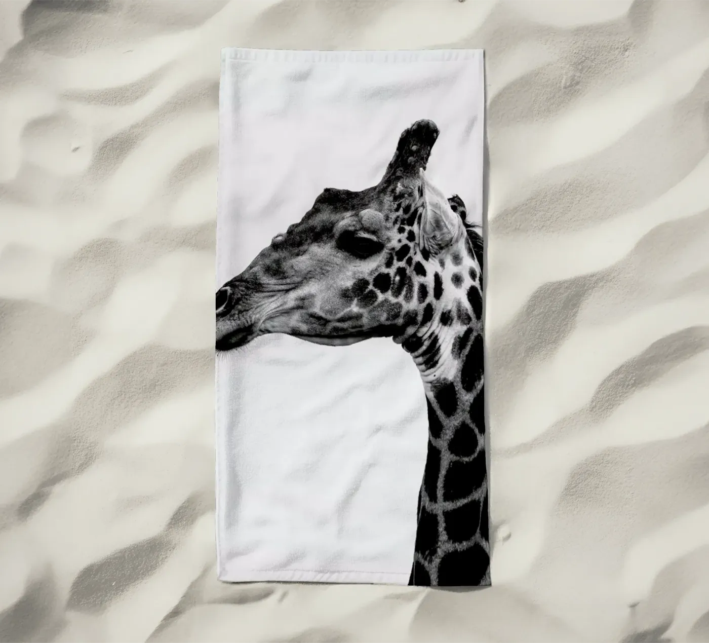 Giraph telo mare da Shot By Clint