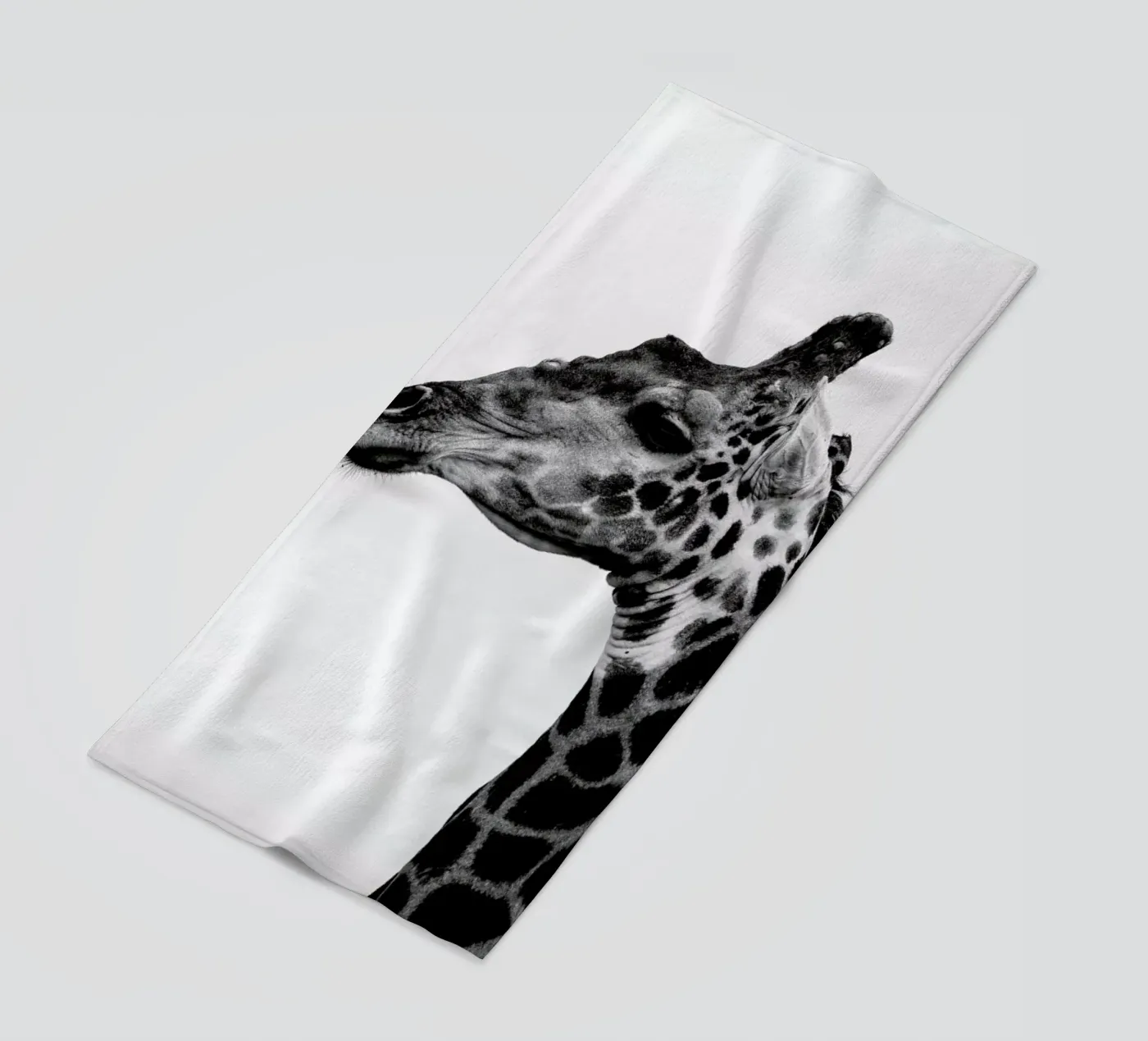 Giraph telo mare da Shot By Clint