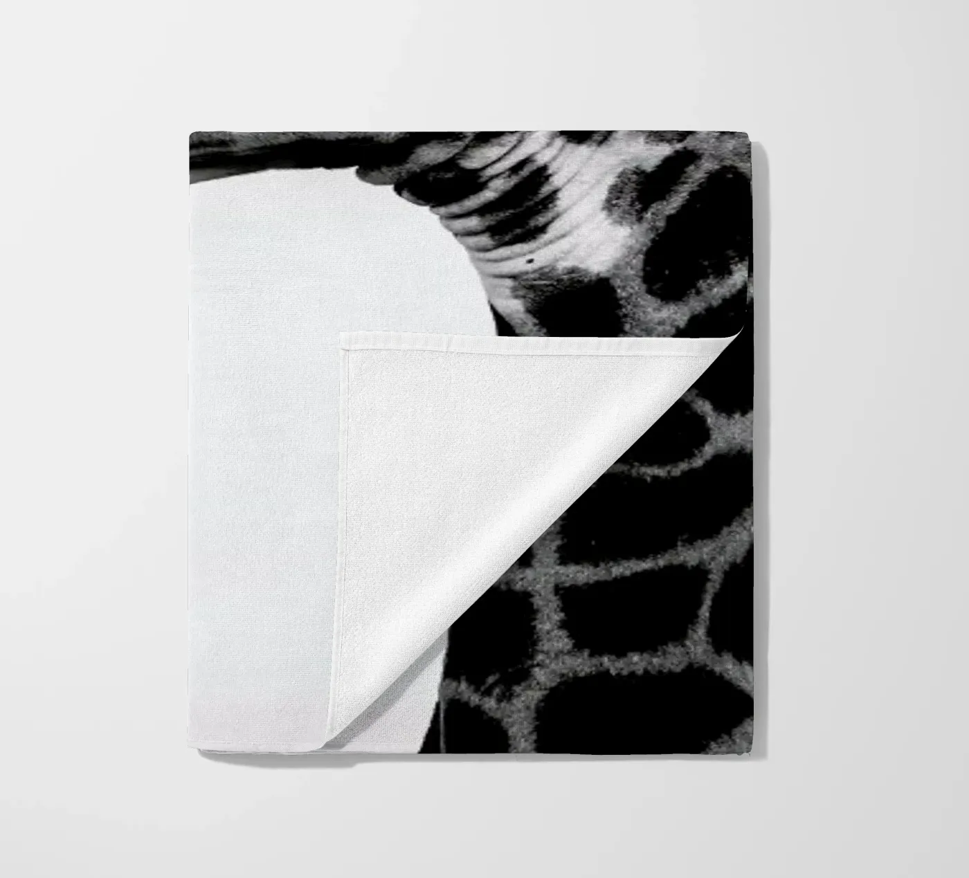 Giraph telo mare da Shot By Clint