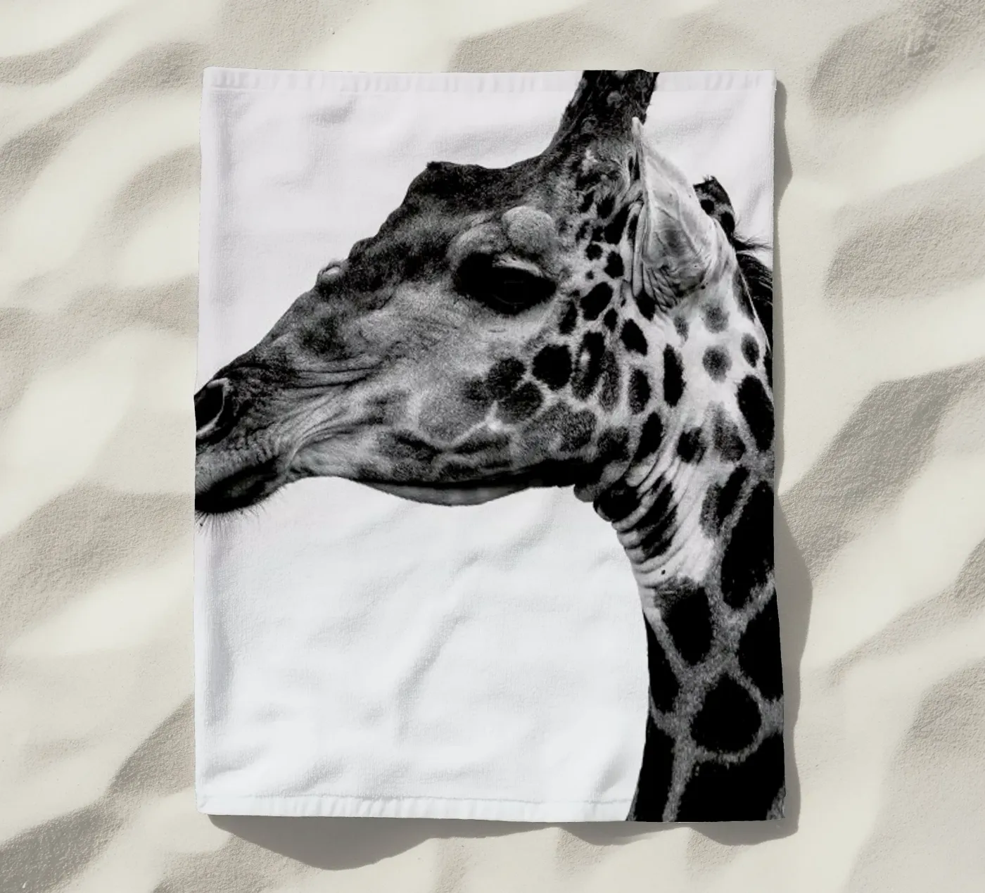 Giraph telo mare da Shot By Clint