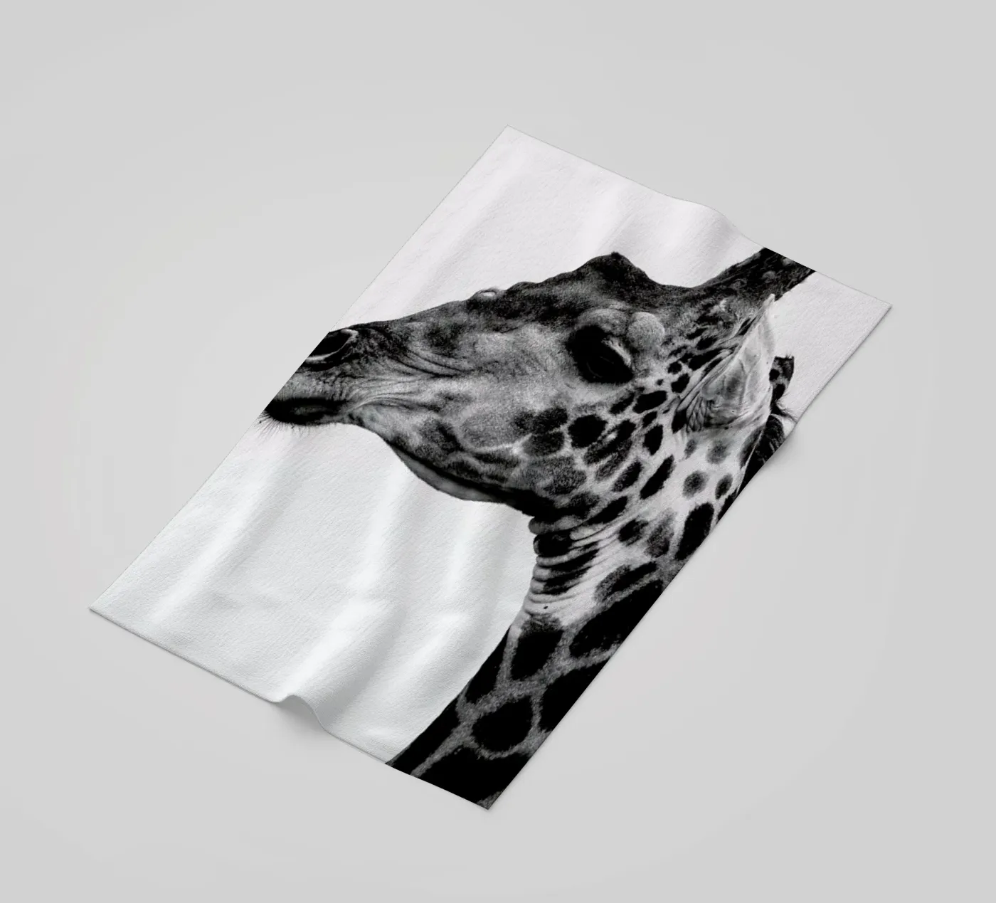 Giraph telo mare da Shot By Clint