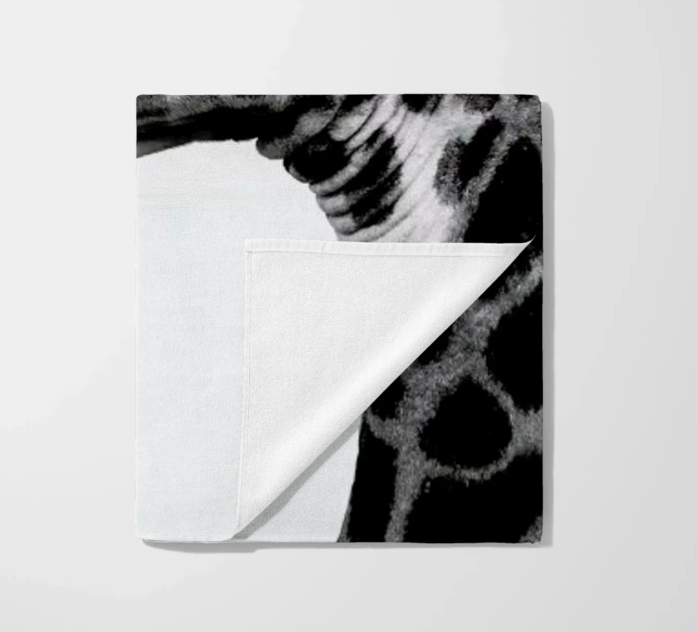 Giraph telo mare da Shot By Clint