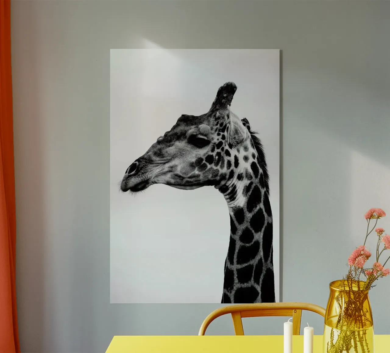 Giraph plexiglass da Shot By Clint