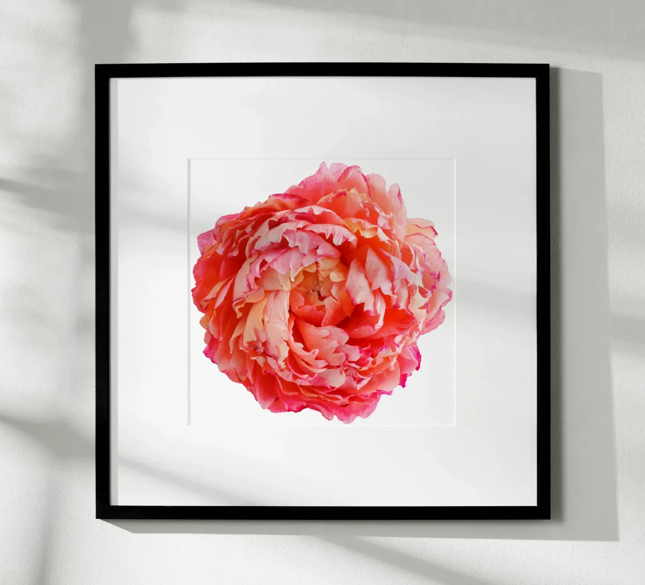 Fiore di carta peonia poster da foodphotolove