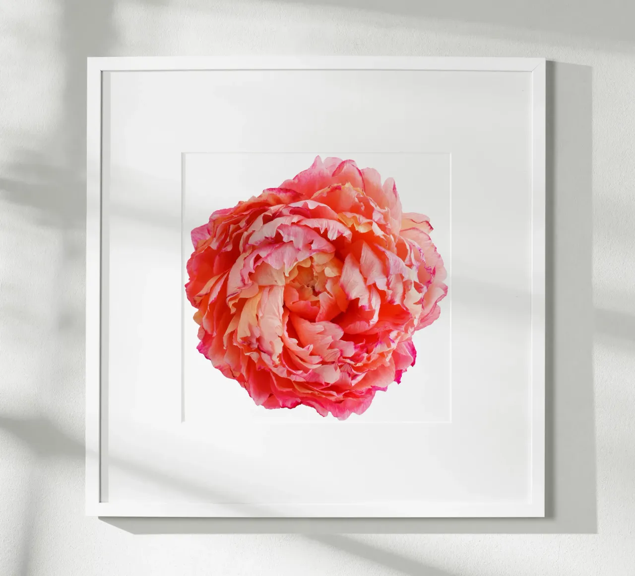 Fiore di carta peonia poster da foodphotolove