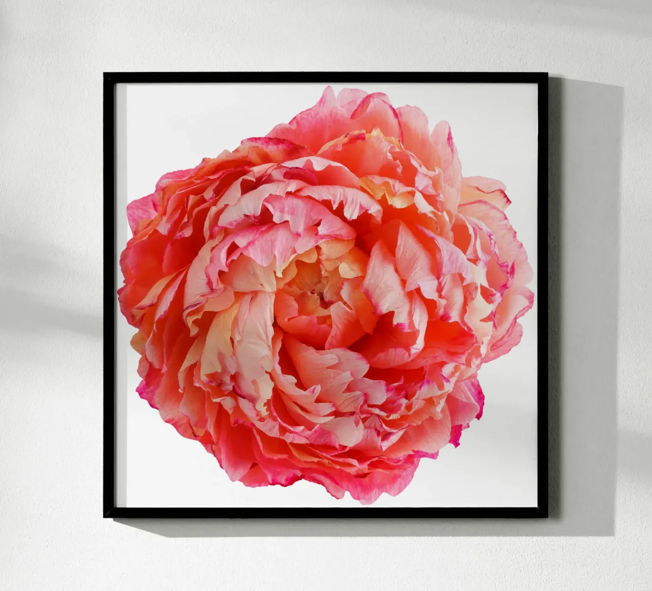 Fiore di carta peonia poster da foodphotolove