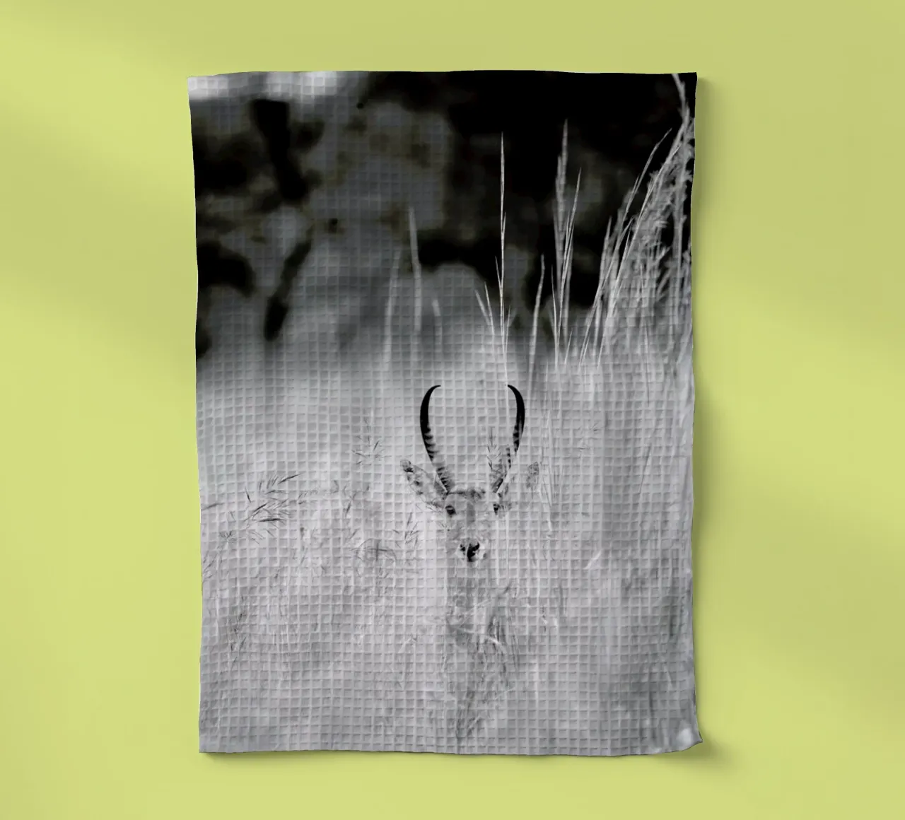 Gizell tea towel by Shot By Clint