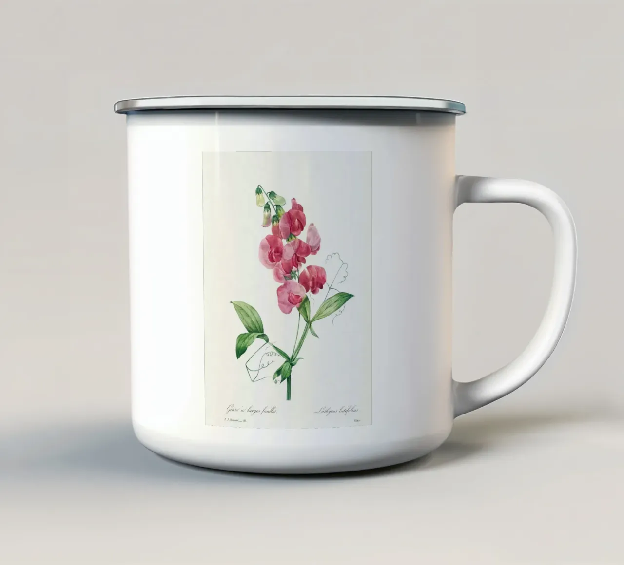 Pisello eterno di Pierre-Joseph Redouté tazza in smalto da Vintage Botanical Prints