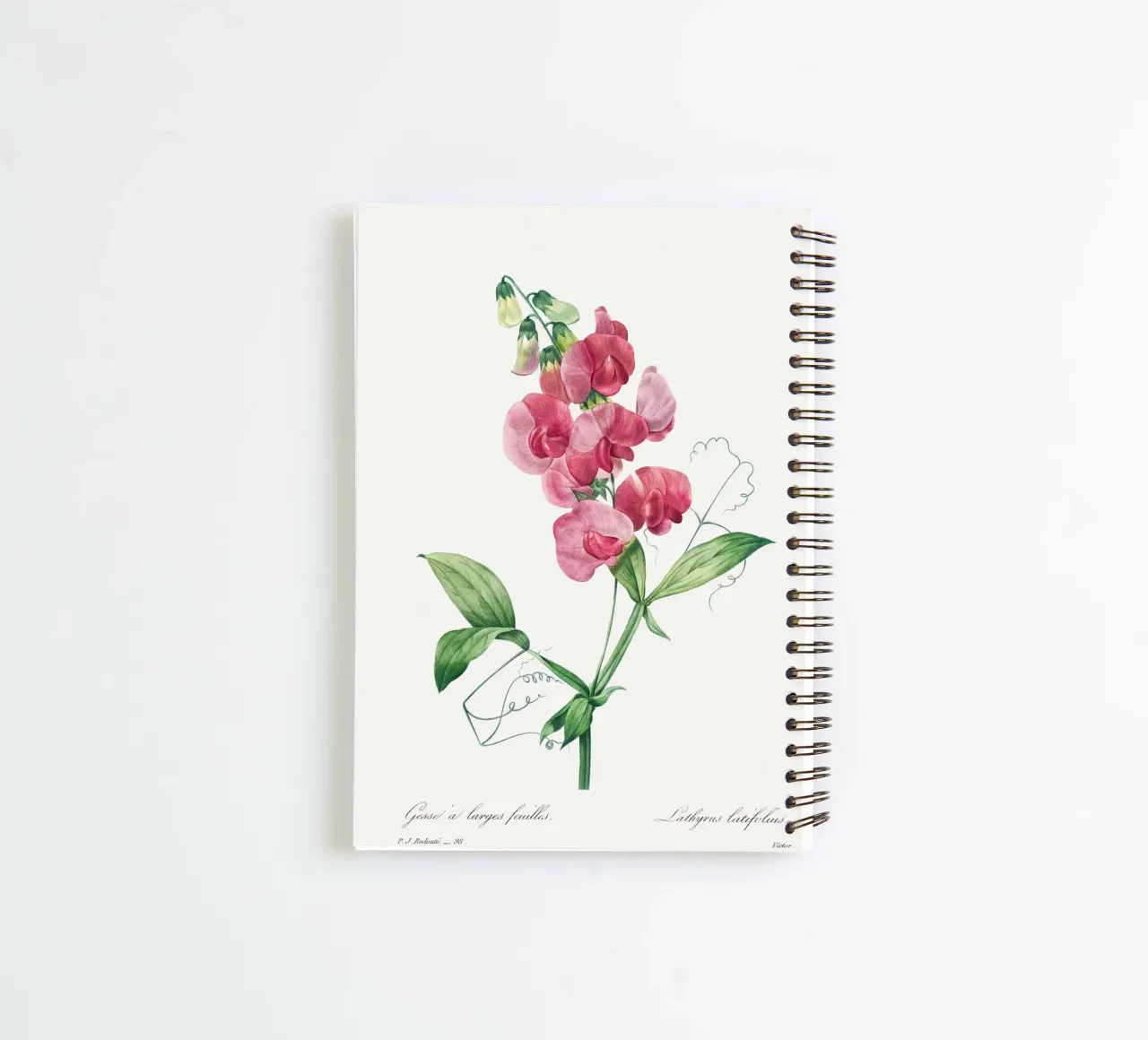 Everlasting Pea by Pierre-Joseph Redouté spiral notebook by Vintage Botanical Prints