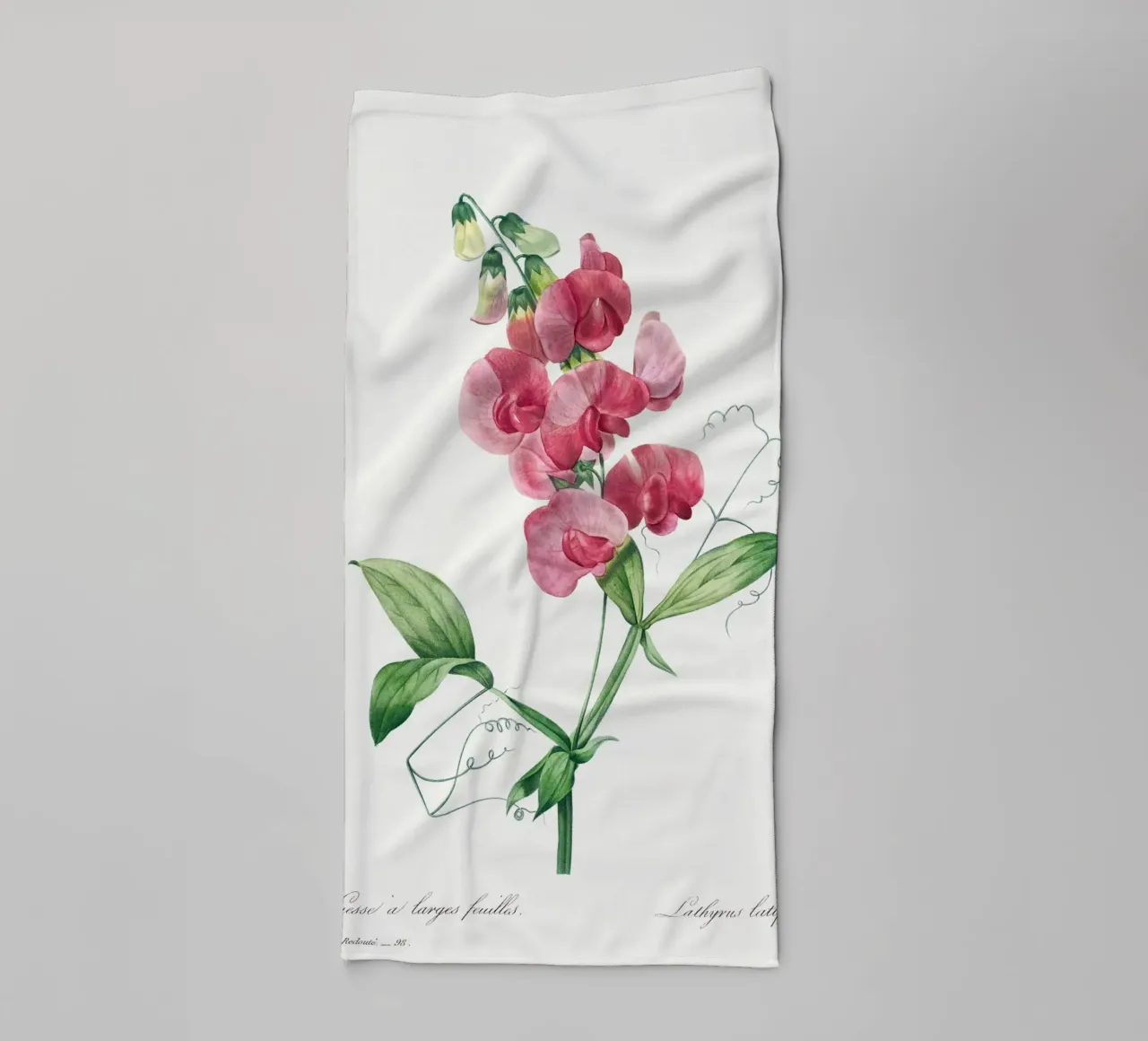Everlasting Pea by Pierre-Joseph Redouté towel by Vintage Botanical Prints