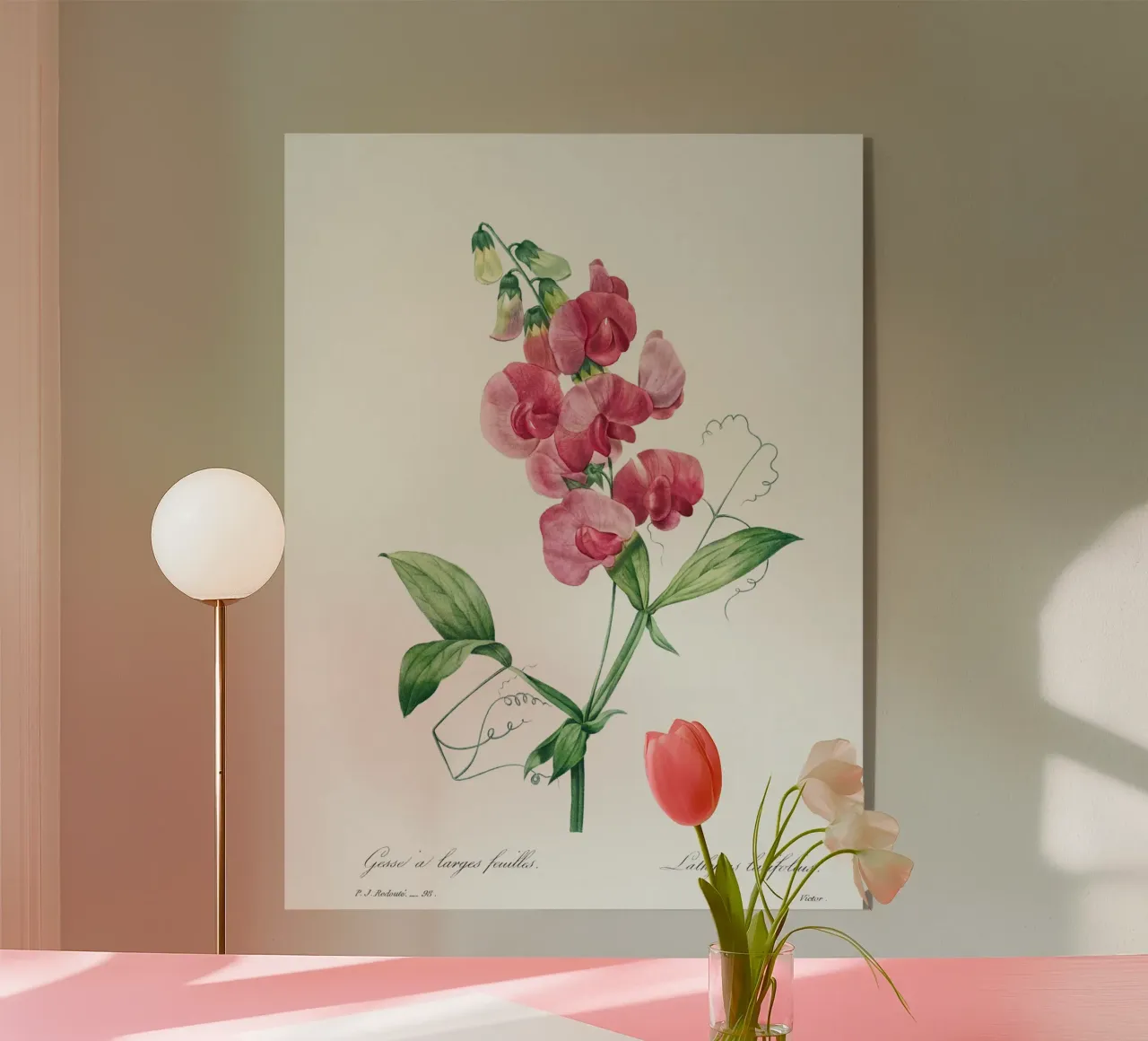 Le petit pois éternel de Pierre-Joseph Redouté plexiglas de Vintage Botanical Prints