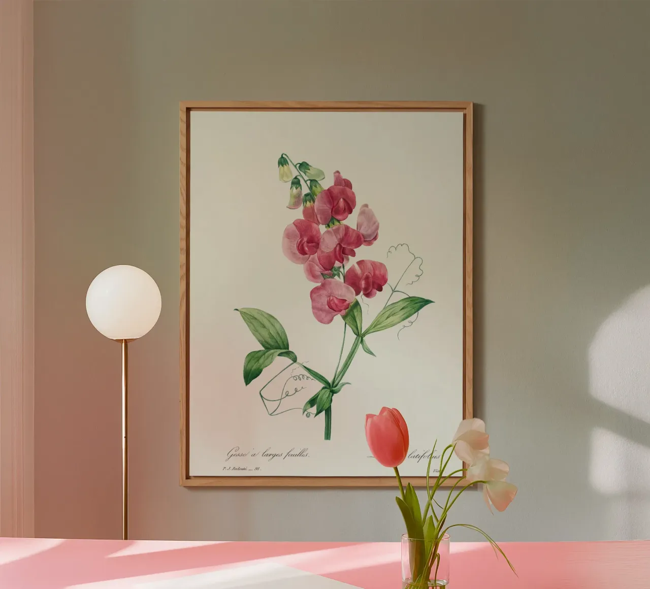 Everlasting Pea by Pierre-Joseph Redouté forex plate by Vintage Botanical Prints
