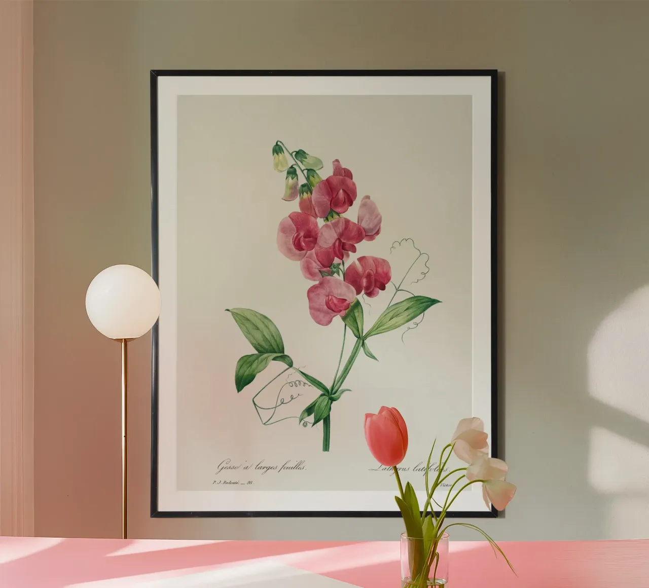 Eeuwige erwt door Pierre-Joseph Redouté hahnemühle van Vintage Botanical Prints