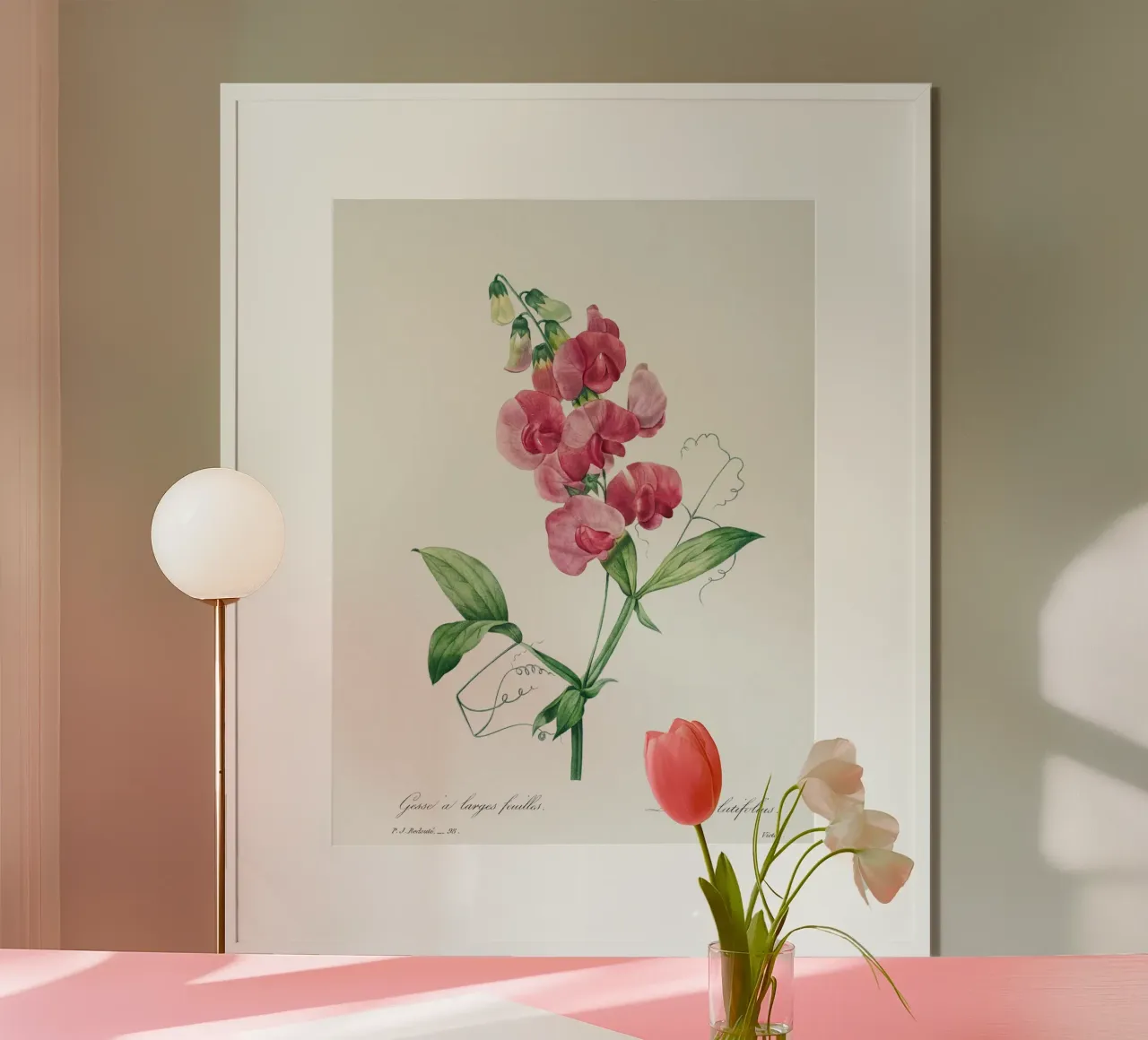 Eeuwige erwt door Pierre-Joseph Redouté hahnemühle van Vintage Botanical Prints