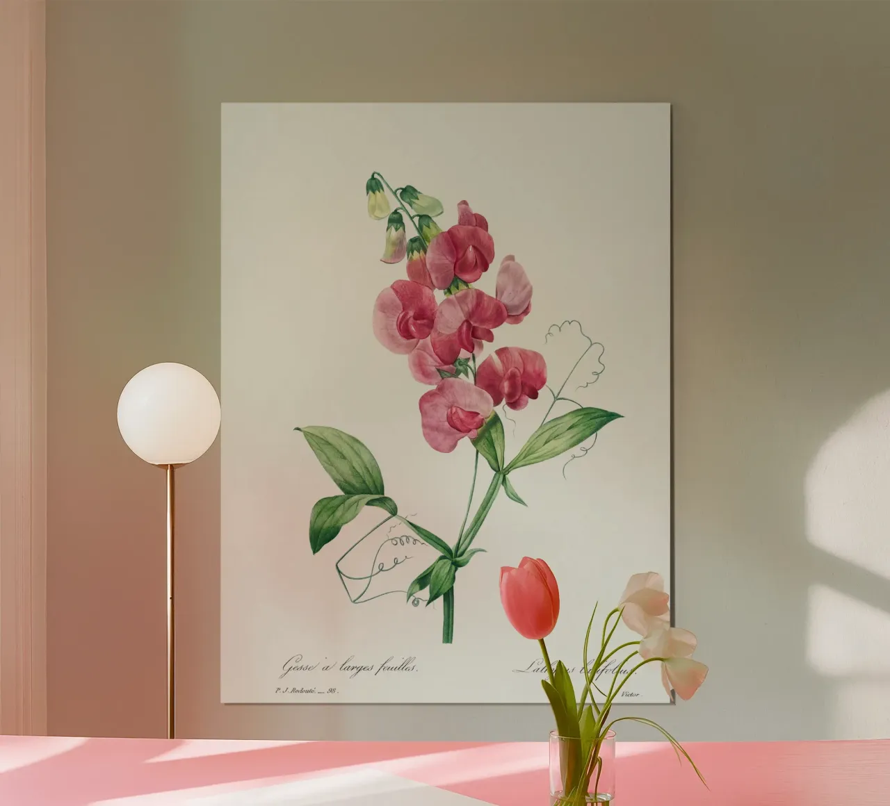 Eeuwige erwt door Pierre-Joseph Redouté hahnemühle van Vintage Botanical Prints