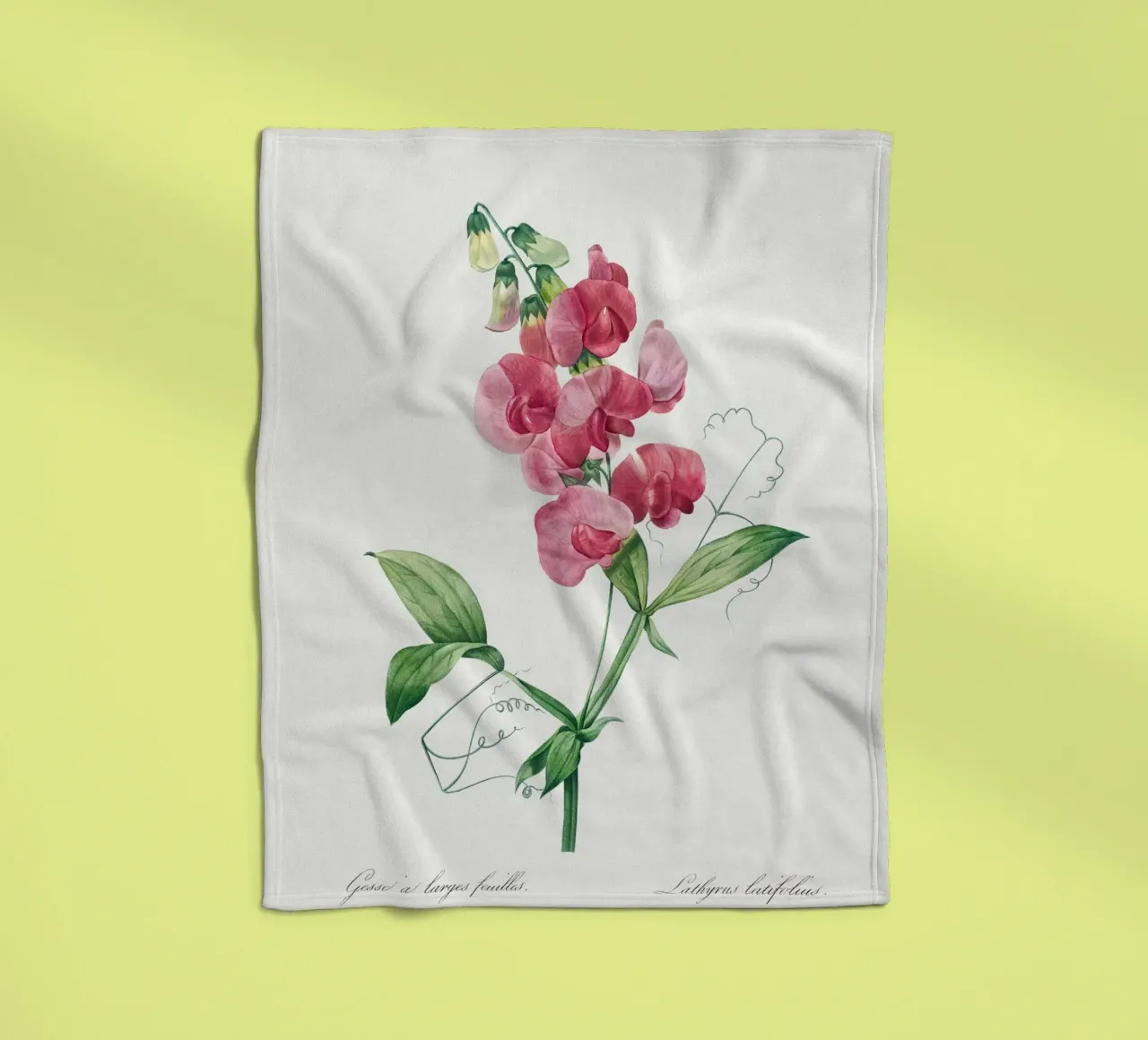 Everlasting Pea by Pierre-Joseph Redouté fleece blanket by Vintage Botanical Prints