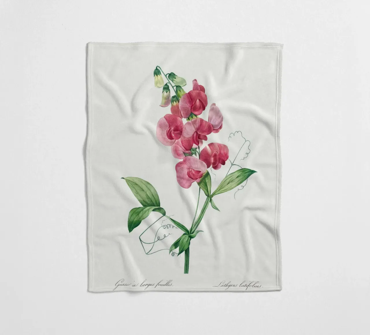 Everlasting Pea by Pierre-Joseph Redouté fleece blanket by Vintage Botanical Prints