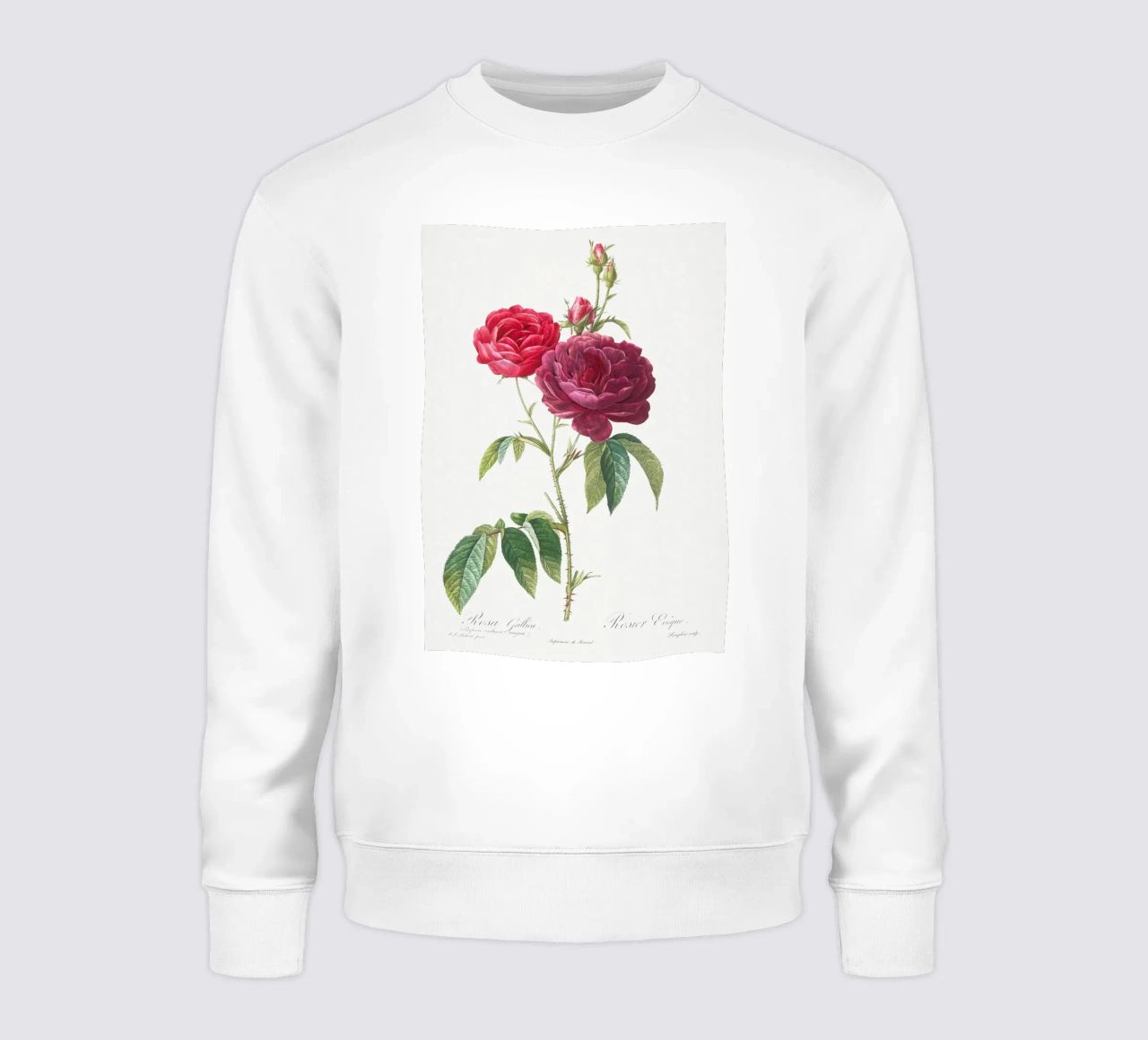 Rosa francesa púrpura de Pierre-Joseph Redouté sudadera de Vintage Botanical Prints