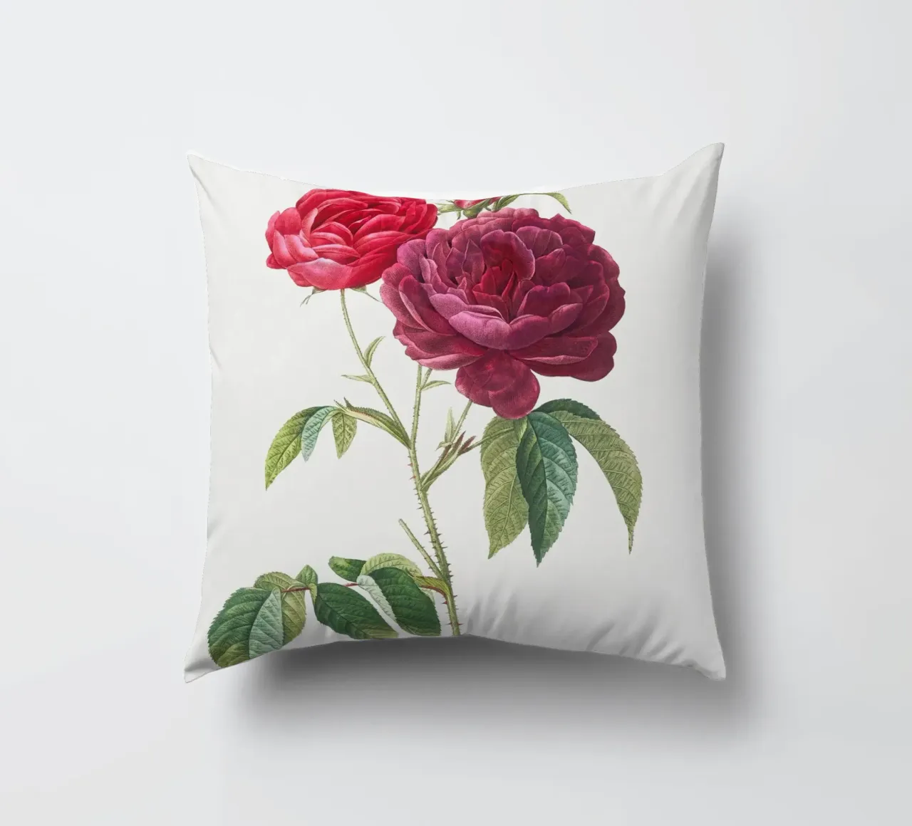 Rosa francese viola di Pierre-Joseph Redouté cuscino da Vintage Botanical Prints