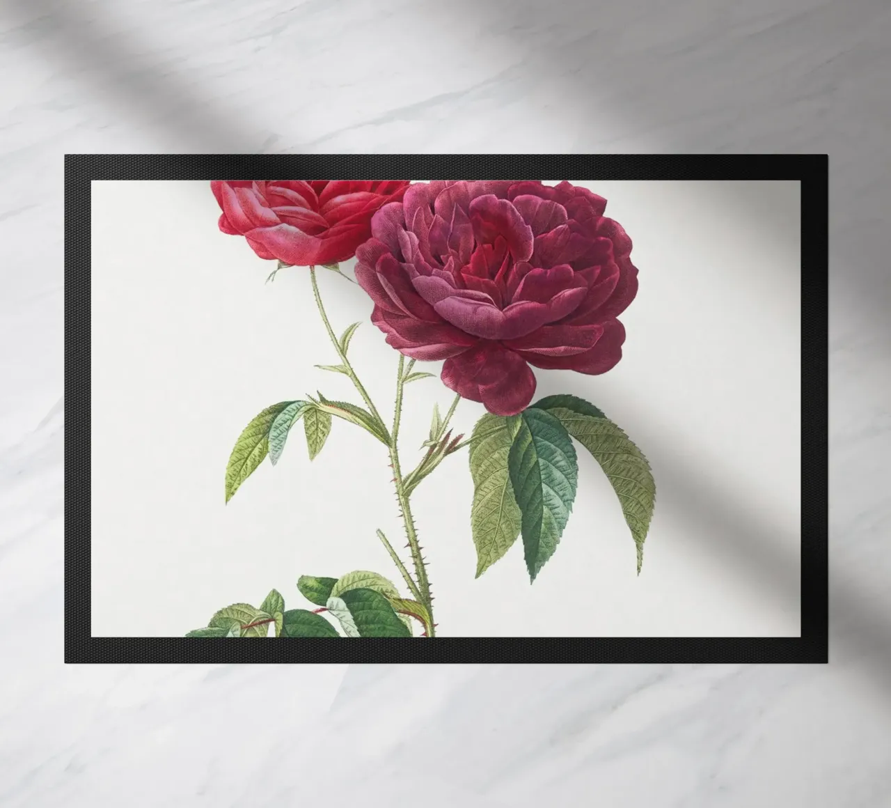 Rosa francese viola di Pierre-Joseph Redouté zerbino da Vintage Botanical Prints