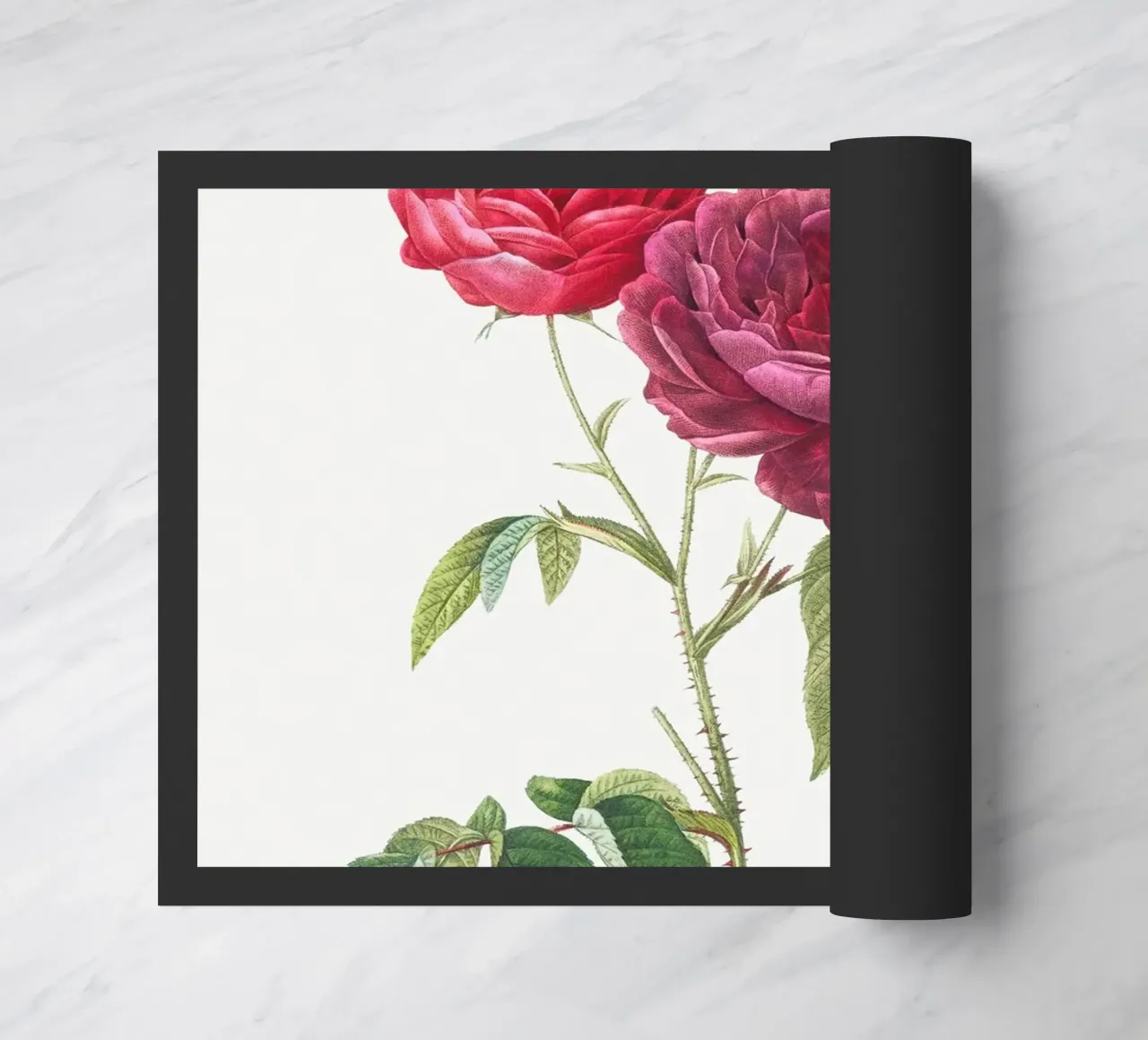 Rosa francese viola di Pierre-Joseph Redouté zerbino da Vintage Botanical Prints