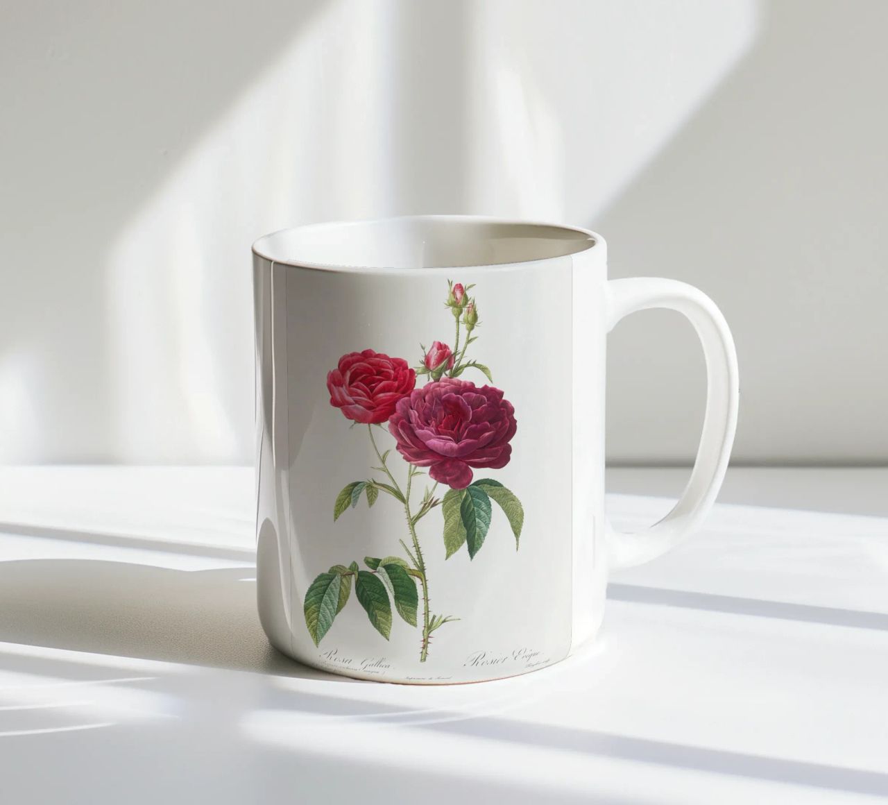 Rosa francese viola di Pierre-Joseph Redouté tazza in ceramica da Vintage Botanical Prints