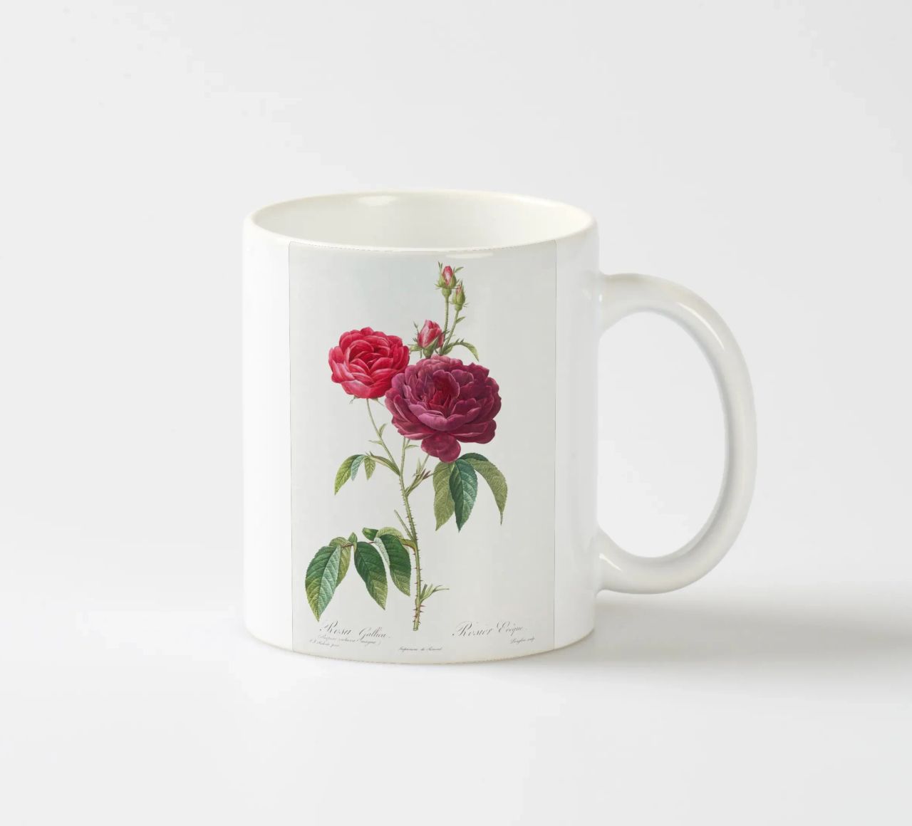 Rosa francese viola di Pierre-Joseph Redouté tazza in ceramica da Vintage Botanical Prints