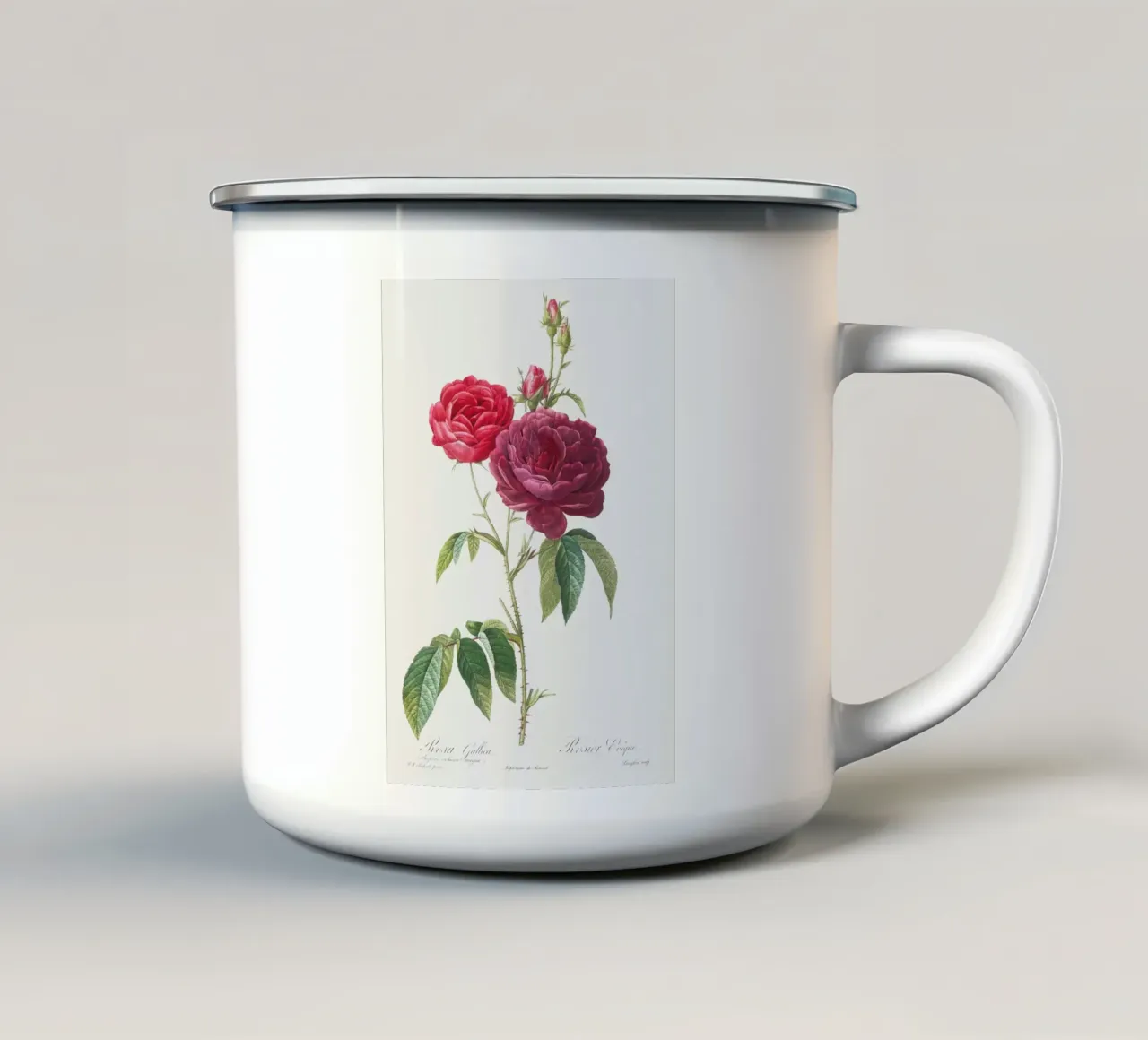Violette französische Rose von Pierre-Joseph Redouté Emaille Tasse von Vintage Botanical Prints