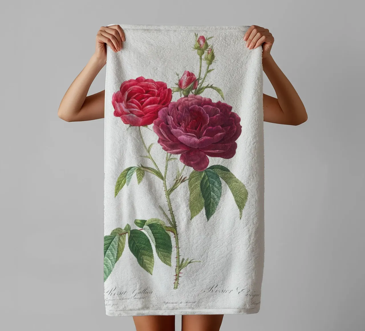 Rosa francese viola di Pierre-Joseph Redouté asciugamano da bagno da Vintage Botanical Prints