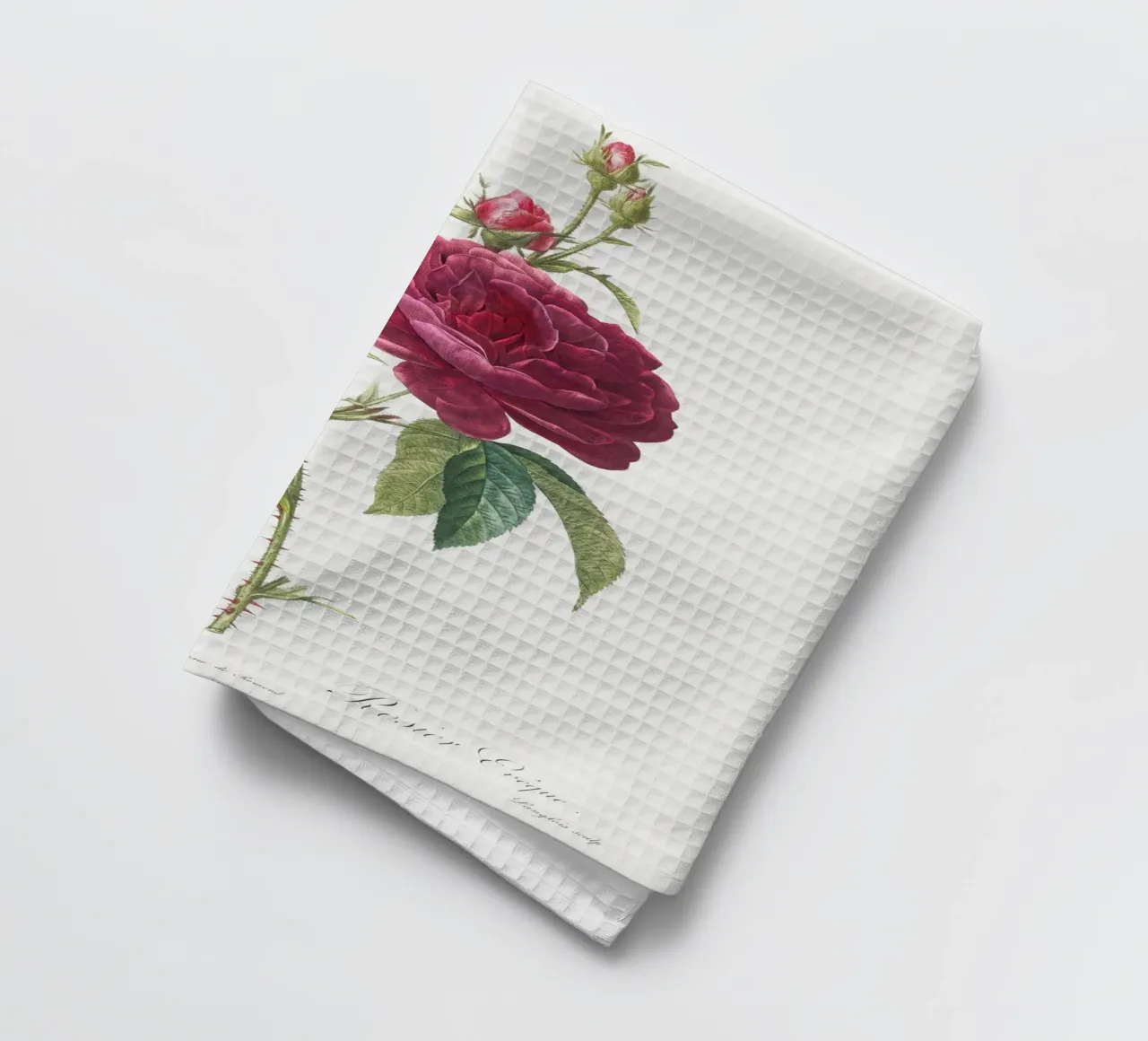 Rosa francese viola di Pierre-Joseph Redouté canovaccio da cucina da Vintage Botanical Prints