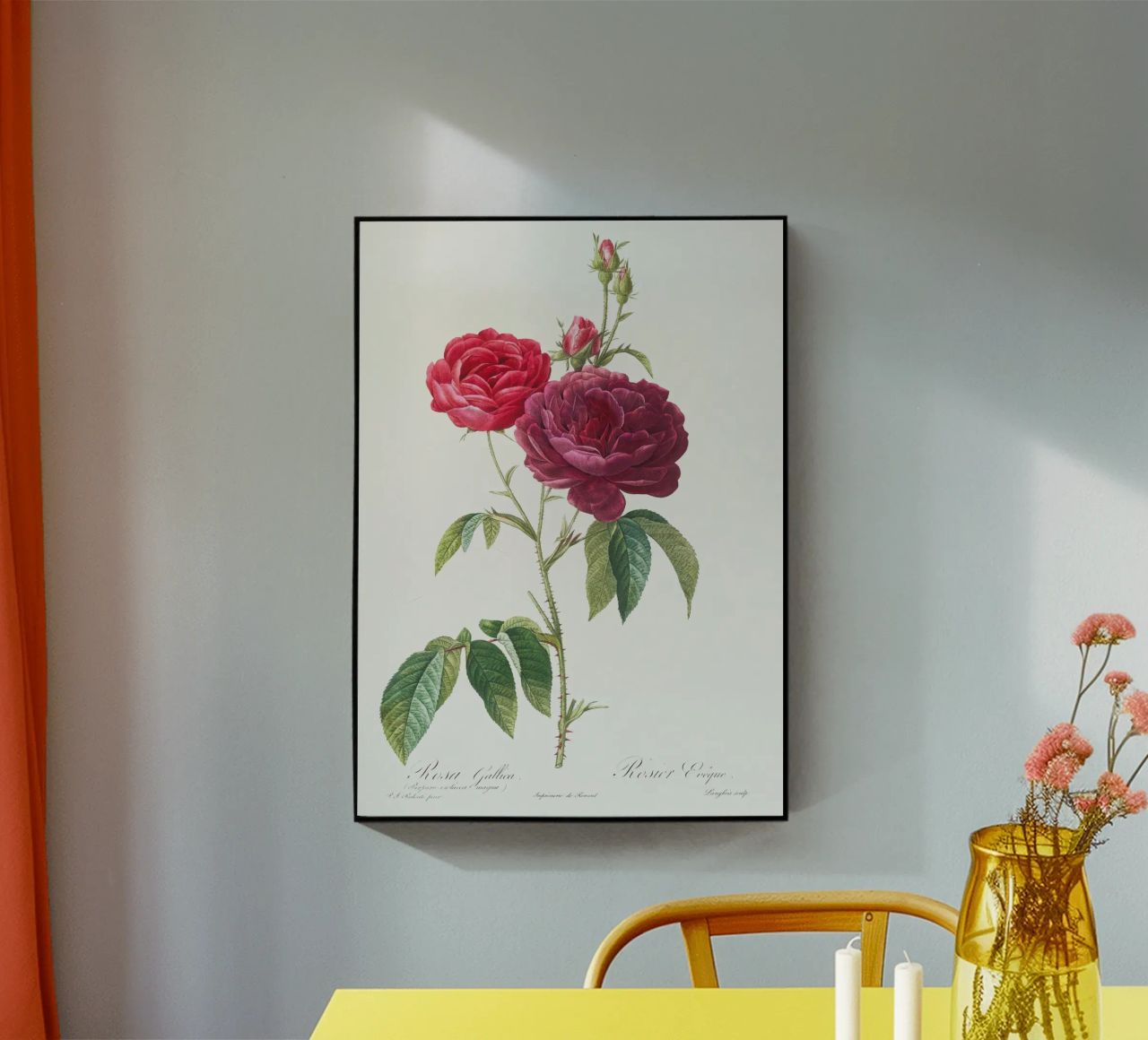 Rosa francesa púrpura de Pierre-Joseph Redouté metacrilato de Vintage Botanical Prints