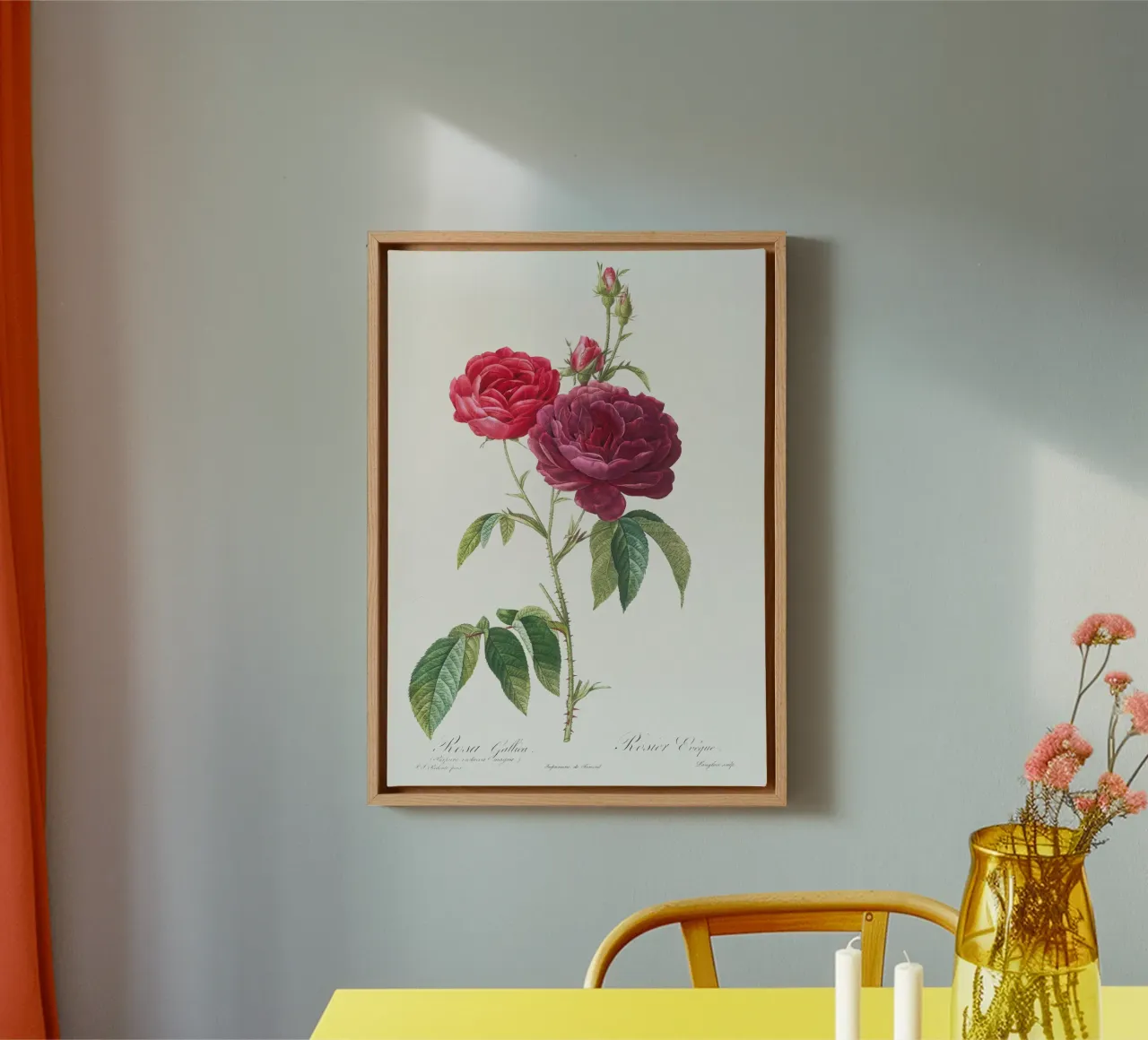Rosa francese viola di Pierre-Joseph Redouté tela con Cornice a cassetta da Vintage Botanical Prints