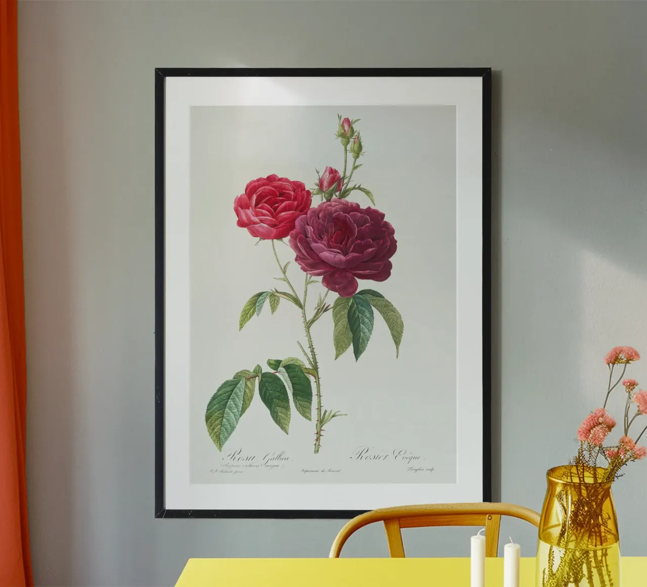 Rosa francese viola di Pierre-Joseph Redouté carta hahnemühle da Vintage Botanical Prints