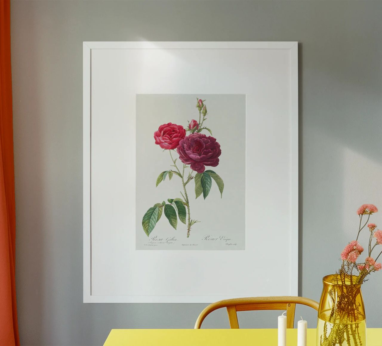 Rosa francesa púrpura de Pierre-Joseph Redouté poster de Vintage Botanical Prints
