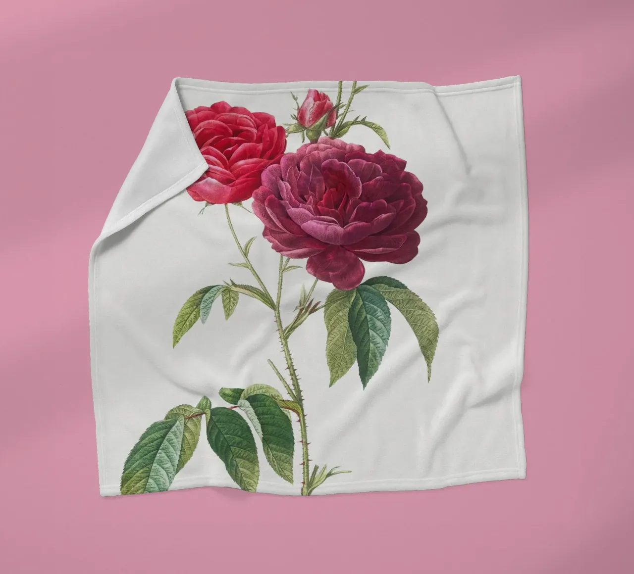 Rosa francese viola di Pierre-Joseph Redouté coperta in pile da Vintage Botanical Prints