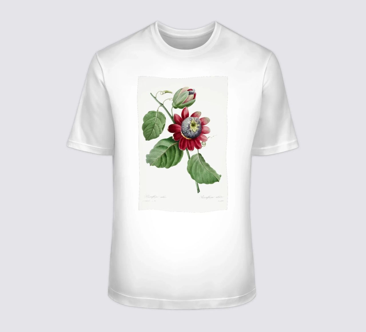Passiflore Ailee (1827) di Pierre-Joseph Redouté t-shirt da Vintage Botanical Prints