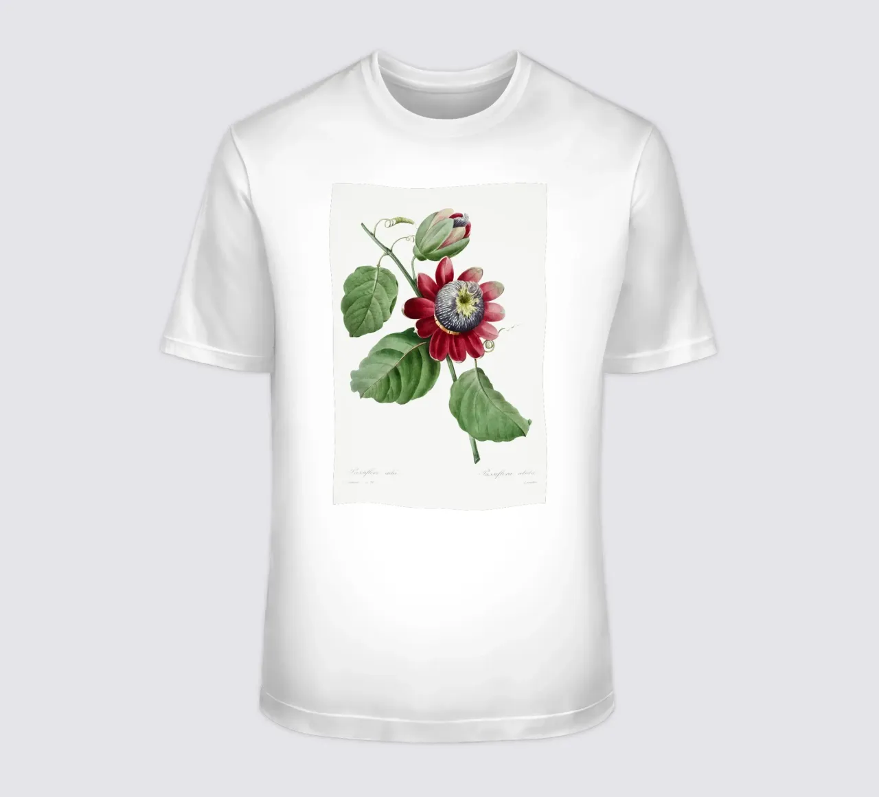 Passiflore Ailee (1827) von Pierre-Joseph Redouté T-Shirt von Vintage Botanical Prints