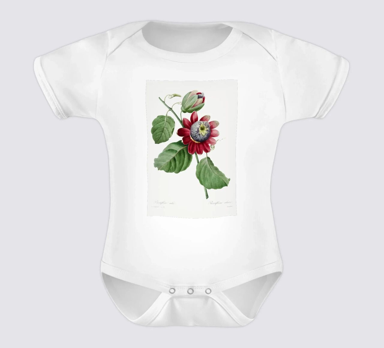 Passiflore Ailee (1827) di Pierre-Joseph Redouté body neonato maniche corte da Vintage Botanical Prints