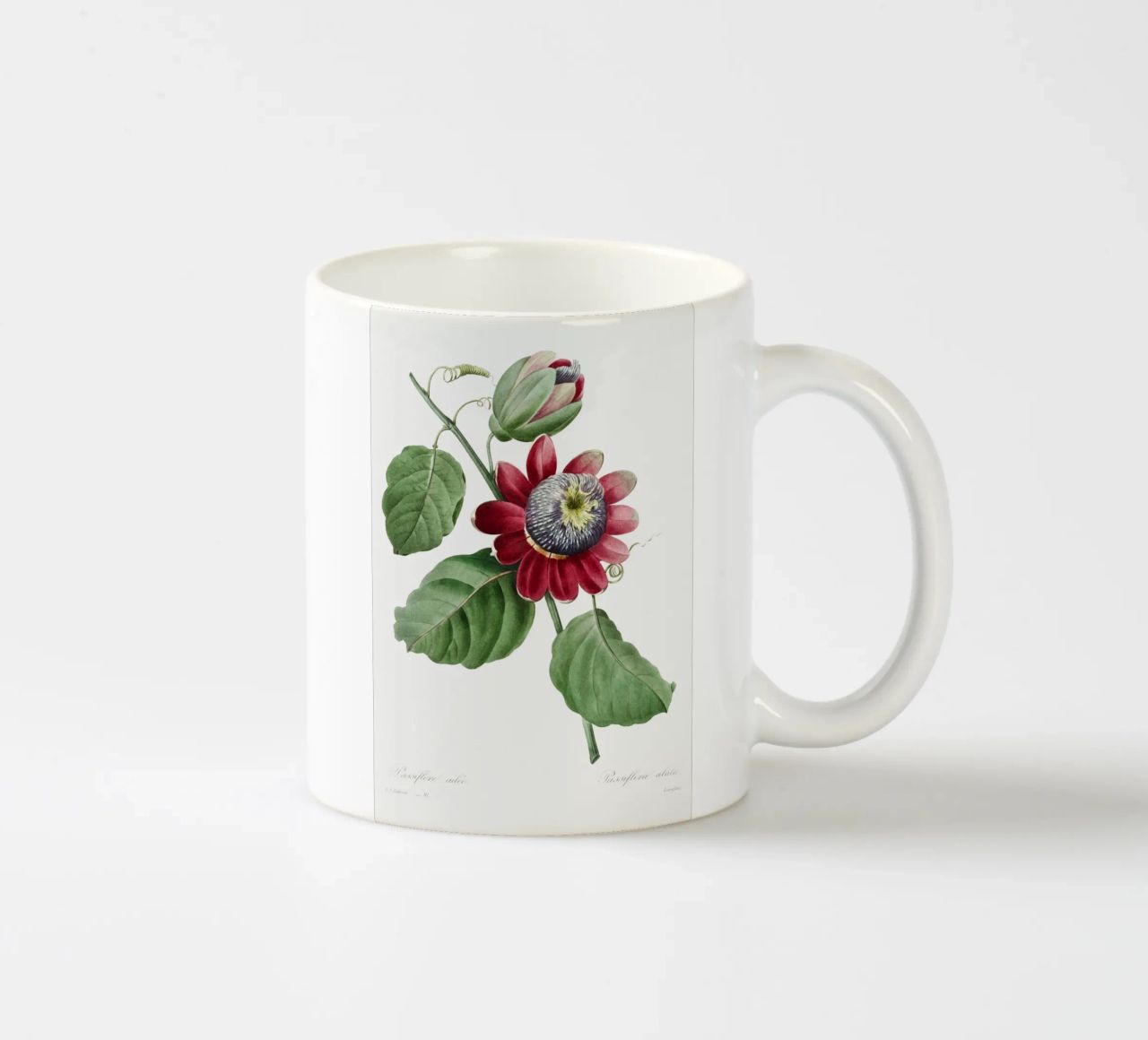 Passiflore Ailee (1827) di Pierre-Joseph Redouté tazza in ceramica da Vintage Botanical Prints