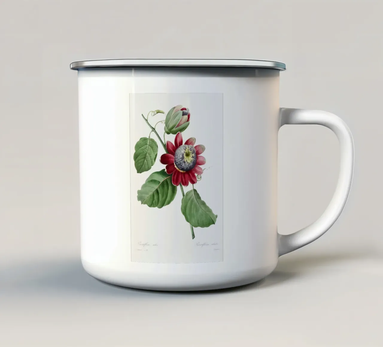 Passiflore Ailee (1827) de Pierre-Joseph Redouté taza de esmalte de Vintage Botanical Prints