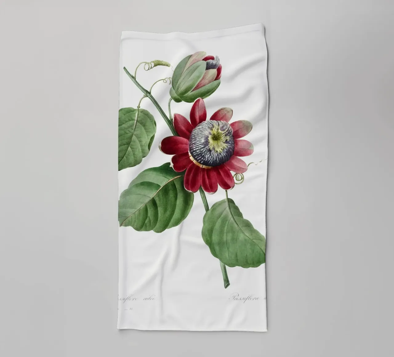 Passiflore Ailee (1827) di Pierre-Joseph Redouté asciugamano da bagno da Vintage Botanical Prints