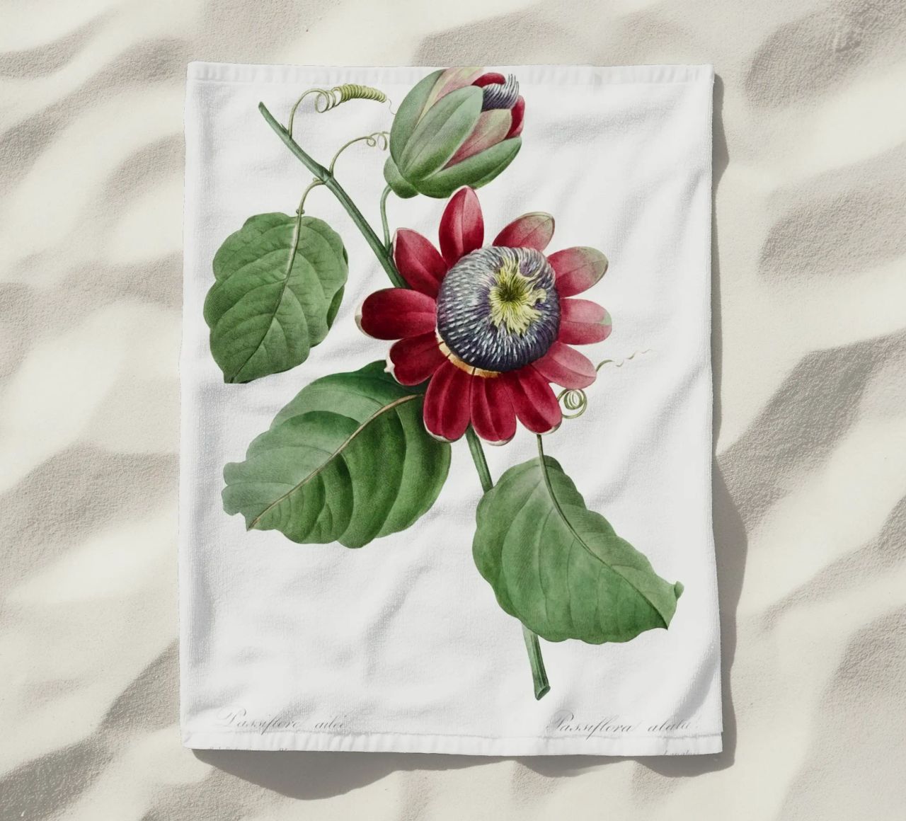 Passiflore Ailee (1827) di Pierre-Joseph Redouté telo mare da Vintage Botanical Prints